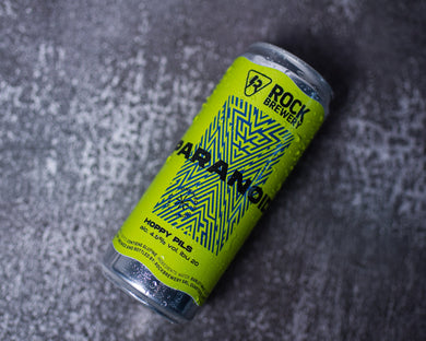 Le tendenze della birra artigianale in Italia nel 2026: sostenibilità, lattine e cultura rock 🤘