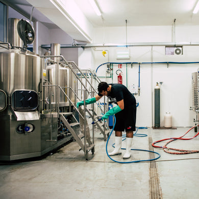 Guida Completa al Dry Hopping: Tecnica e Dosaggi nella Birra Artigianale